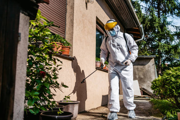 Best Affordable Pest Control Services  in Mesquite, NV