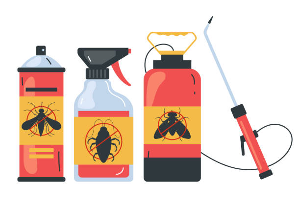 Best Local Pest Control Services  in Mesquite, NV